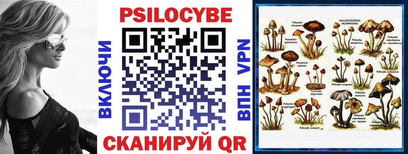 кракен   Хвалынск  Псилоцибиновые грибы мухоморы 